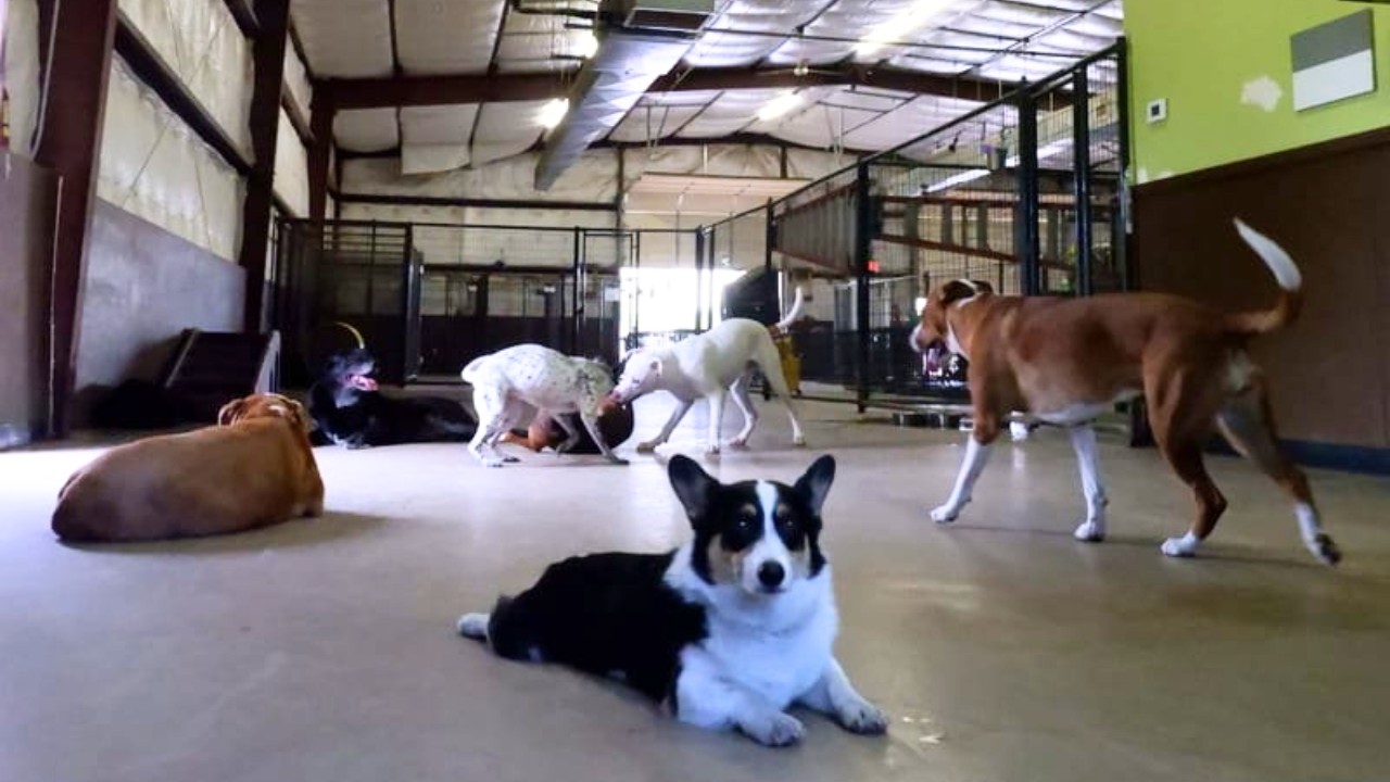 Indoor activity area
