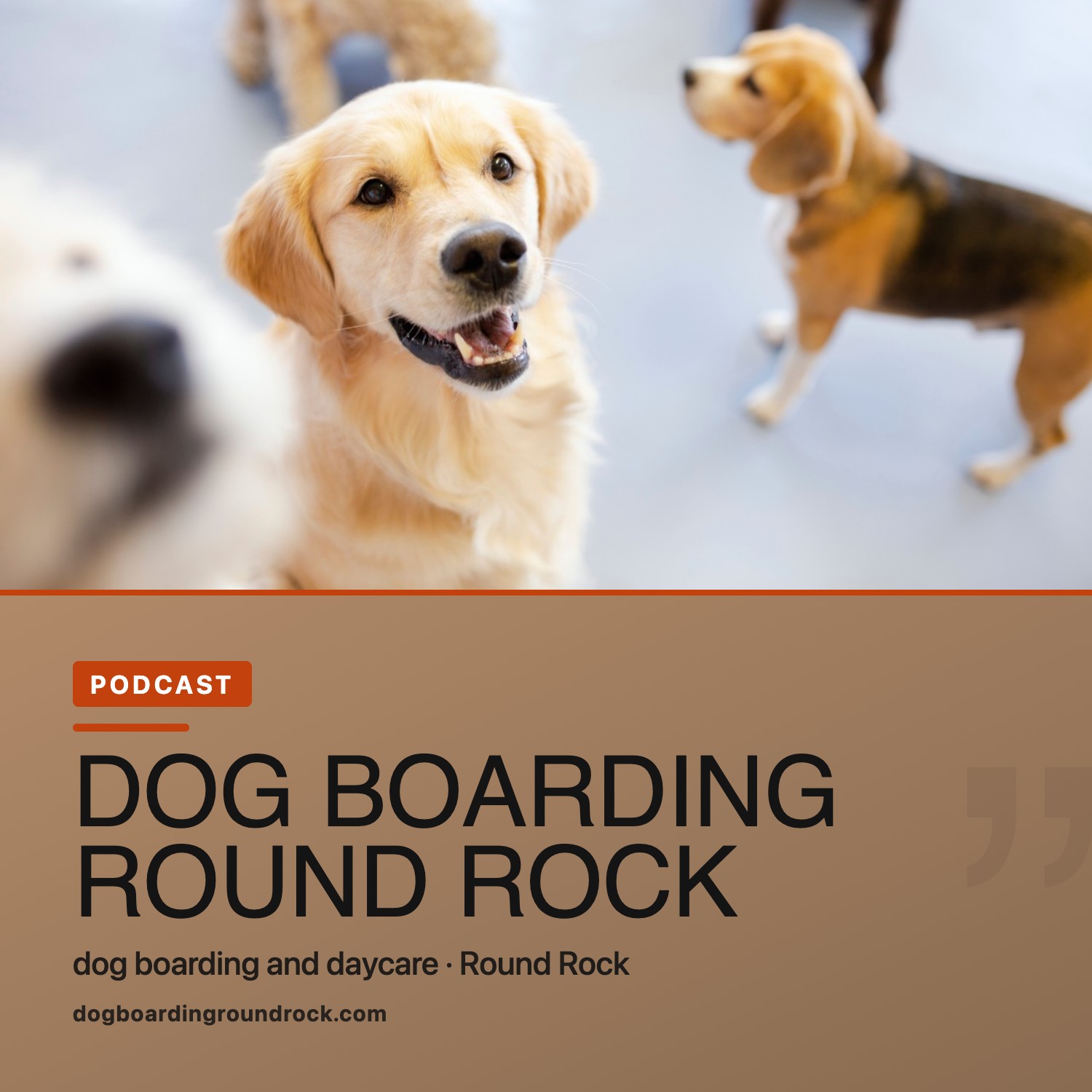Dog Boarding Round Rock podcast artwork